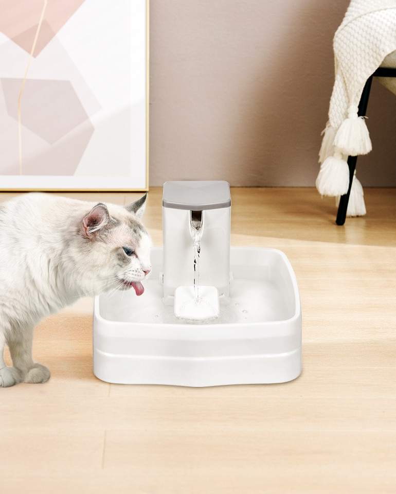 Smart Pet Water Fountain with Stainless Steel Bowl & Multi-Stage Filtration